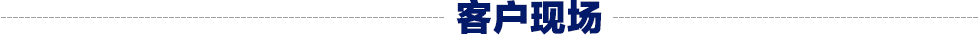 电动螺旋压力机客户现场